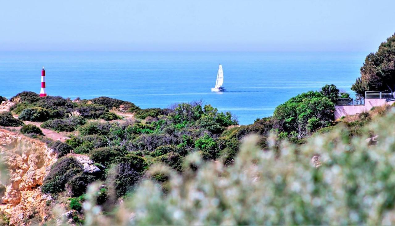 Apartmán Alzira By Rossio Albufeira Exteriér fotografie