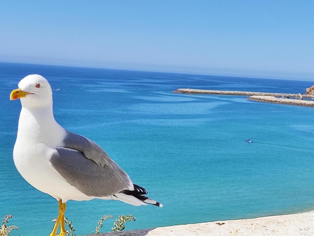Apartmán Alzira By Rossio Albufeira Exteriér fotografie